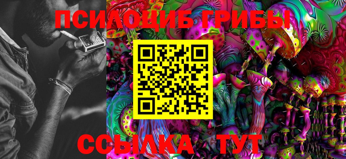 Галлюциногенные грибы Psilocybe Златоуст