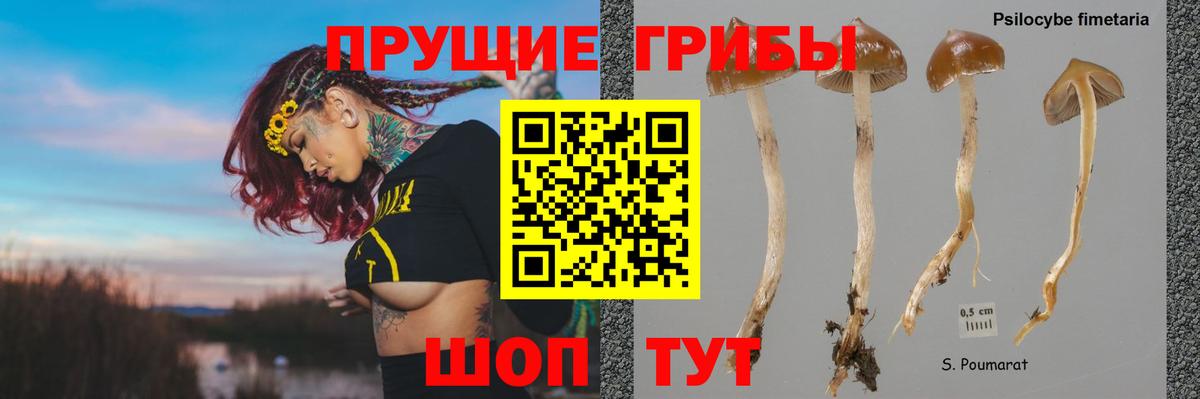 Галлюциногенные грибы Magic Shrooms  Вход с VPN  Златоуст 